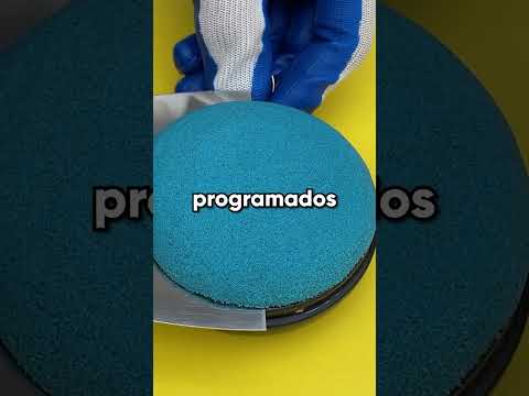 Mi vecina llamó a control de animales diciendo que yo maltrataba perros. Pero la reacción de la agen