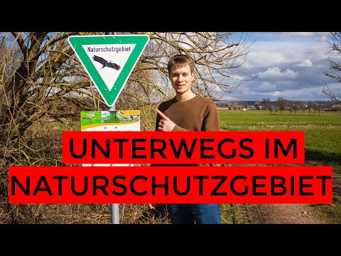 Vögel beobachten - VLOG Elzwiesen und Rheinauen