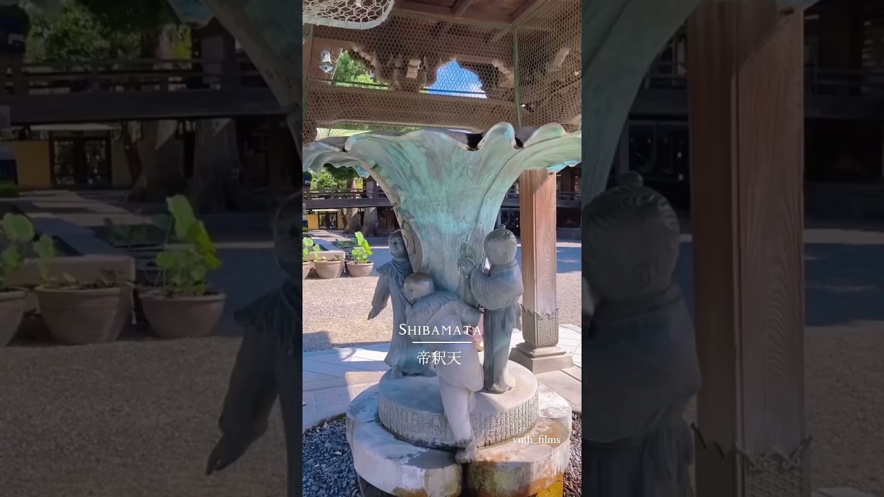 YouTube Short thumbnail