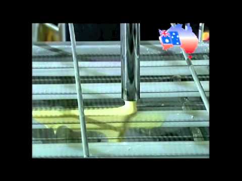 Pacific 400 Former, Preduster, Batterer, Crumber and Fryer video thumbnail