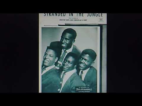 The Jayhawks:  "Stranded in the Jungle"  (1956)