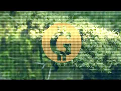 BENY B - GRAMOWALUTA (PROD. FERU)