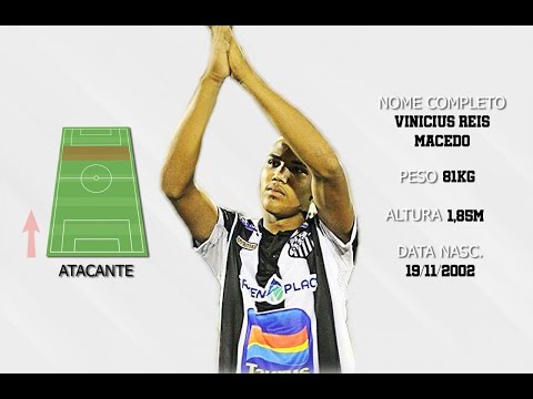 Vinicius Macedo Forward/Winger Operário MS 2020