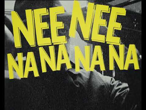 Dicky Doo & The Don’ts  - Nee nee na na na na nu nu