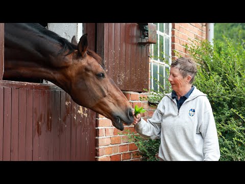 Säker med häst rider ut med Ulla Håkanson