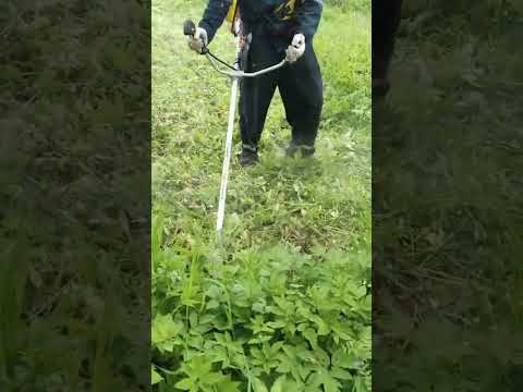 фото покос травы любой сложности, расчистка участка, спил деревьев. 0