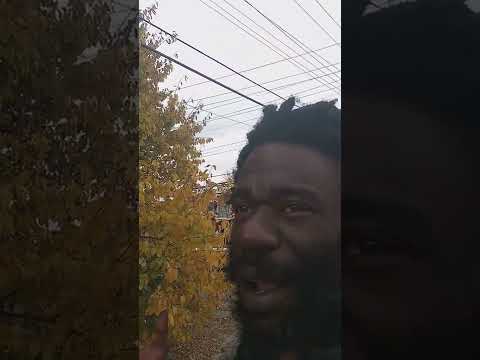 HIGH LEVEL CONVERSATIONS -.          " REVISITED " ( FOR Blue Pill )