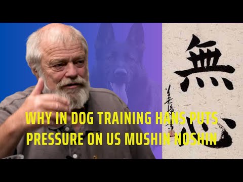 ¿Por qué Hans nos presiona en el adiestramiento canino? - Mushin Noshin