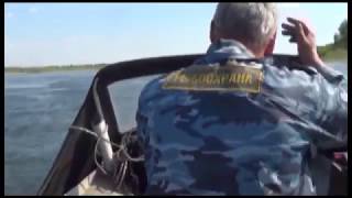 Новости полиции короткой строкой