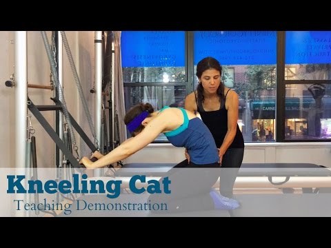 Pilates Teaching Demo - Kneeling Cat (Mind Your Body, NYC)