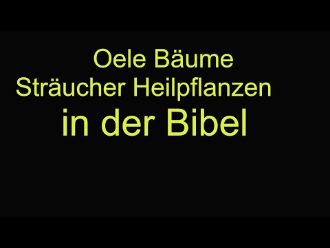 Oele Bäume Sträucher Heilpflanzen in der Bibel