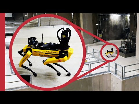 These Guys Have Shown the Benefits of Using a Robot Dog