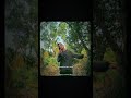 Wanjop Sohkhlet Newsong Khasinewsong Wanjop Viralshorts Newsong Popular Khalish Song