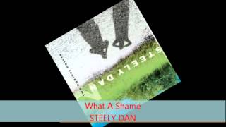 Steely Dan - WHAT A SHAME