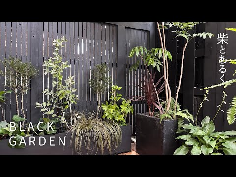 小さな庭用の木 トピックス