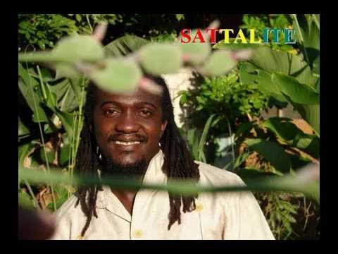 SATTALITE-just strive