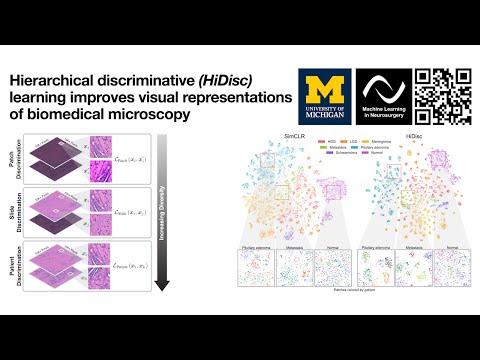 MLiNS video - watch on YouTube