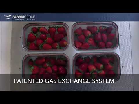 Toplid -  scelleuse de barquettes  - fabbrigoup_4