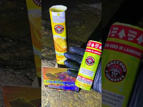 Fireworks / Raccoon #4 Minecraft / BLUE,RED,STROBE,MINES, WITH RED DAHILA EFFECT #fireworks #shorts