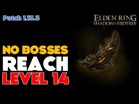 Reach Level 14 Scadutree Blessing Before First Boss - Elden Ring DLC Shadow of the Erdtree