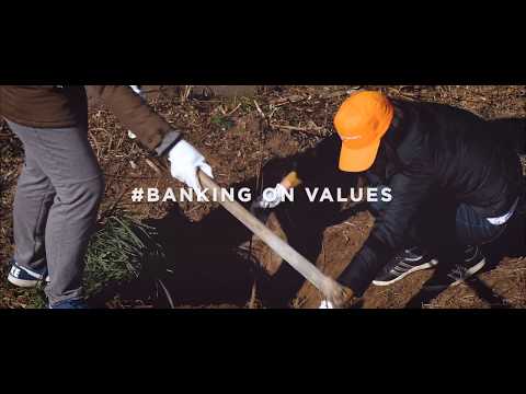 Fruskac and OBS volunteers turn a landfill in the Fruska Gora National Park into a BEE FOREST