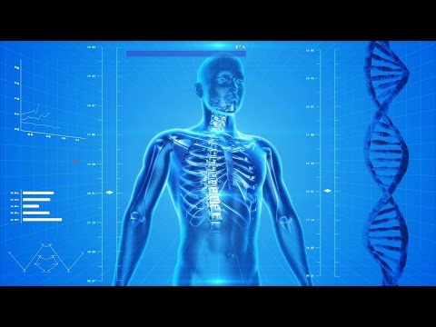 download lagu mp3 mp4 Fasting Chakras, download lagu Fasting Chakras gratis, unduh video klip Fasting Chakras