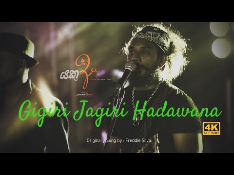 Gigiri Jagiri Hadawana by Yakuza