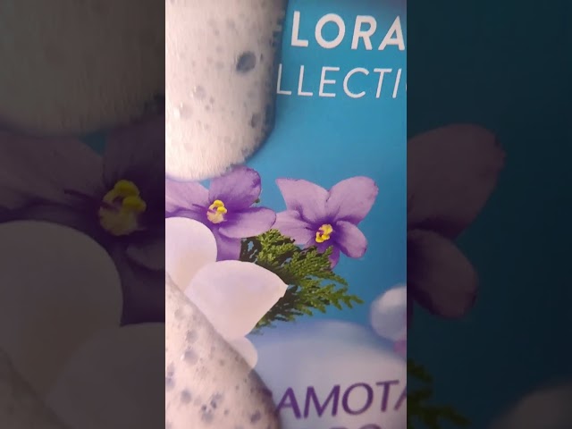 Vídeo relacionado con Tulipán Negro - Gel de Baño Bergamota & Cedro, Gel de Ducha Hidratante con Fragancia Floral Fresca y Duradera, 650 ml