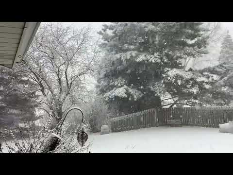 Snow in Sun Prairie, WI (4) — 02/09/2023