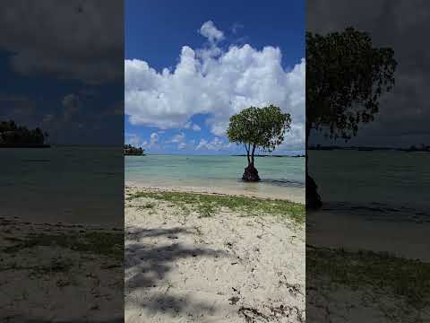 Amazing beach on Mauritius Island