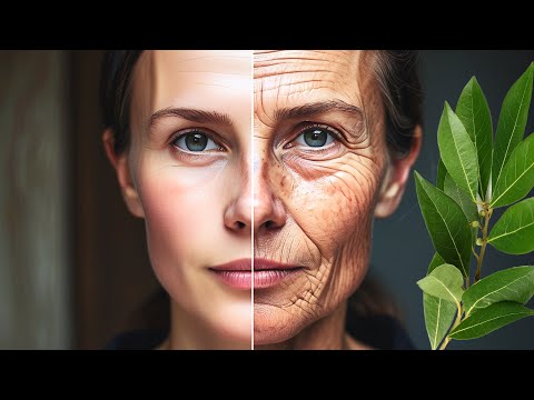 Lorbeerblatt ist millionenfach stärker als Botox und Kollagen.Entfernt alle Falten und feinen Linien