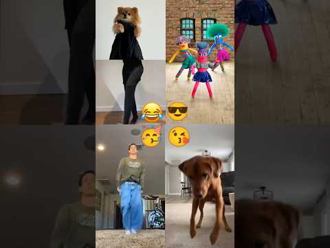 DanceQueen 🐶🐾 Left Right Dance #shorts #pomeranian