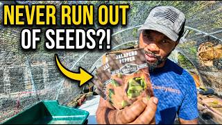 Before You Buy Survival Garden Seeds… Watch This First
