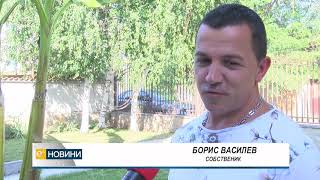 Банани отглеждат в Хасково