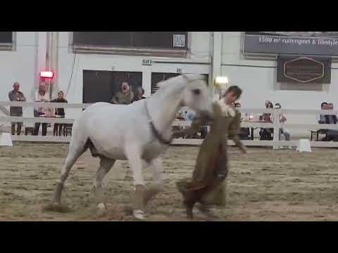 ANCCE BELGICA 03-09-22 Alizée Froment