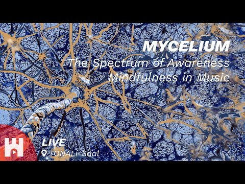 Live - Mycelium - The Spectrum of Awareness - Mindfulness in Music - hamburg.stream