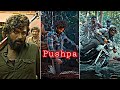 Pushpa Dialogues Status Pushapa Trailer Pushpa Status Pushpa Whatsapp Status
