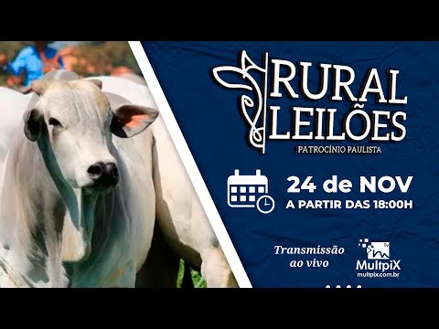 ✅📌 Leilão Virtual e Presencial Rural Leilões - Patrocínio Paulista/SP