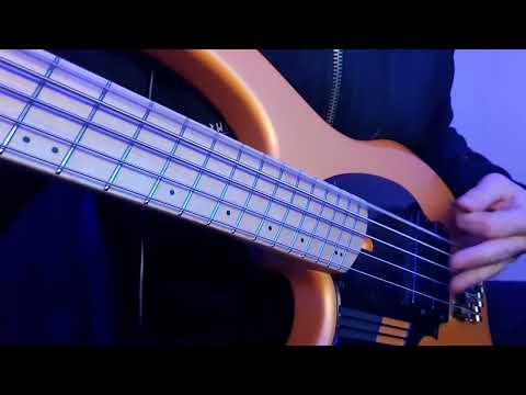 Thumbnail for MESHUGGAH - Immutable Teaser - bass cover by Tao