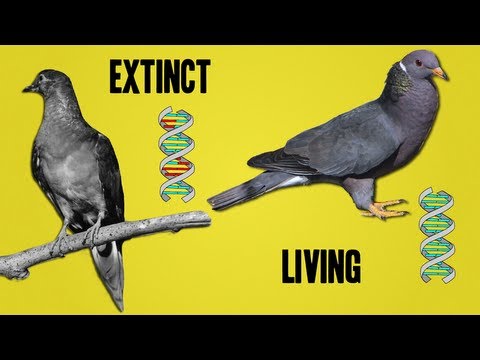 消滅を支える科学 (The Science Behind De-extinction)