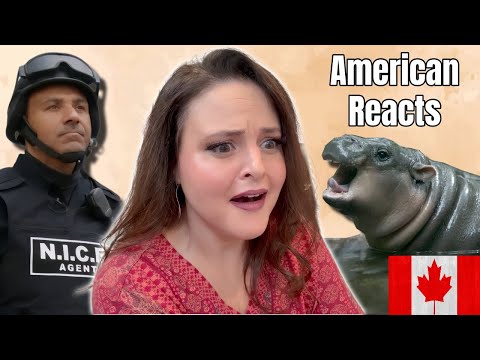 American Reacts to House Hippos and NICE Agents | American Reacts to Canada Ep 1