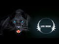 URI Bgm Whatsapp Status Uri Ringtone Whatsapp Status Video
