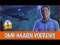 Haaien voeren met de hand?! ? Als dat maar goed gaat | DierenpraatTV