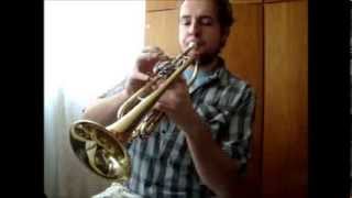 No Doubt - BND (trumpet/bass) cover