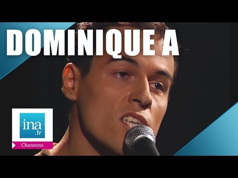 Dominique  A "Le courage des oiseaux" | Archive INA