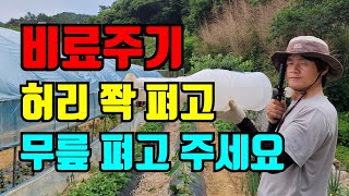 허리펴고 추비 주기 /추비주기 정말 쉬워요 / 웃거름주는도구  추비주입기 /