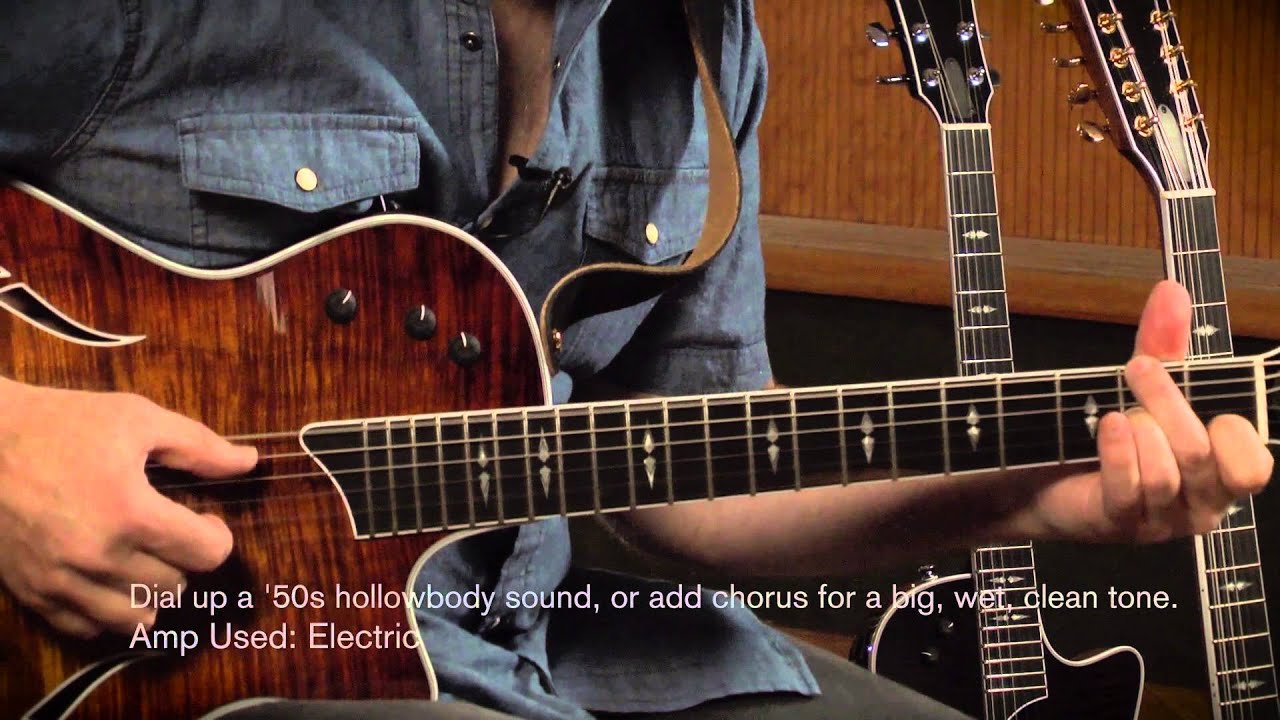 Taylor Guitars 