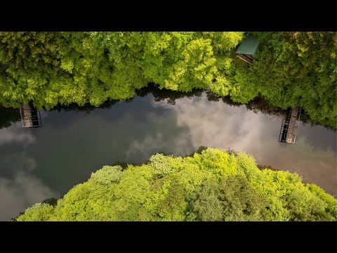 Park Prirode Tajan | National Park Tajan | Zavidovići | Bosnia and Herzegovina
