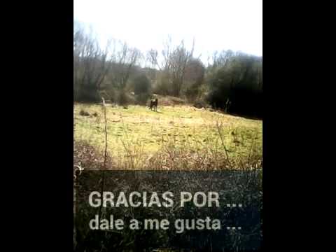 Palacios de la valduerna