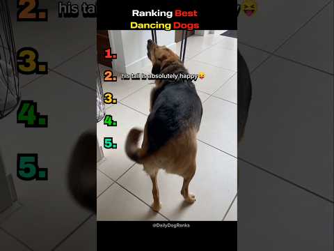 Dogs that make everything look effortless 🐶✨ #dogranking #funnydogs #dogmoments #dancingdogs